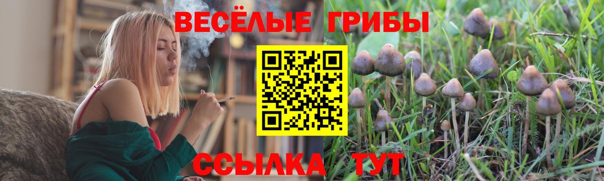 Галлюциногенные грибы GOLDEN TEACHER Обнинск